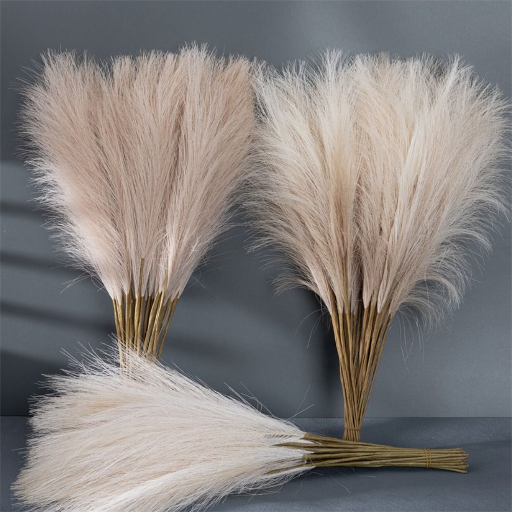 10本セット、お部屋の装飾に最適な、ふわふわのパンパスグラス - Pampas Grass Decor のレビューと価格
