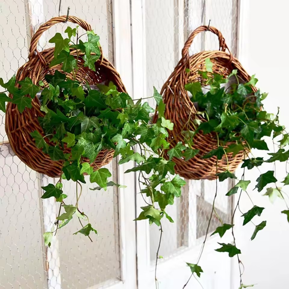 手作りの籐製フラワーポット、壁掛け式籐製バスケット、ガーデン - Rattan Plant Basket のレビューと価格