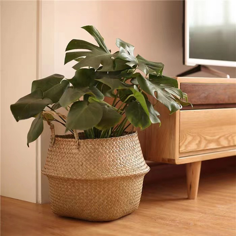 ハンドル付き植物バスケット 籐バスケット 植木鉢収納バスケッ - Rattan Plant Basket のレビューと価格