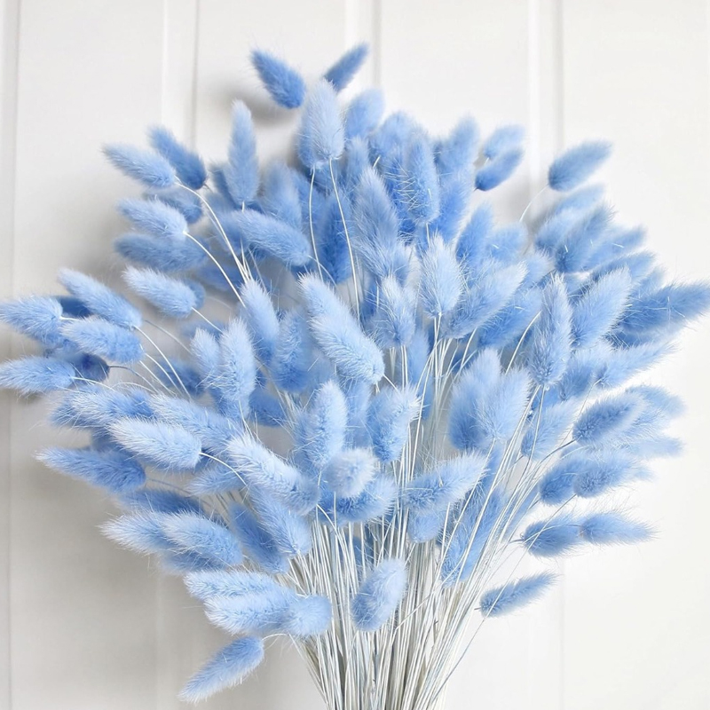 100 個ブルーウサギの尾草バニーウサギの尾ホームルームリビ - Pampas Grass Decor のレビューと価格
